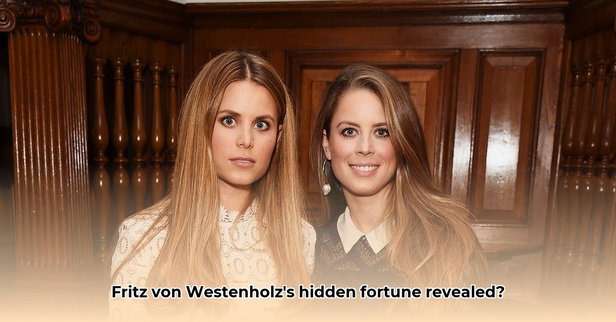 fritz-von-westenholz-net-worth